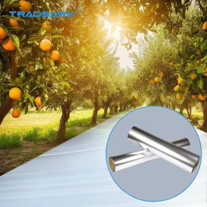 Fruit Film