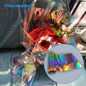 PET Iridescent Film