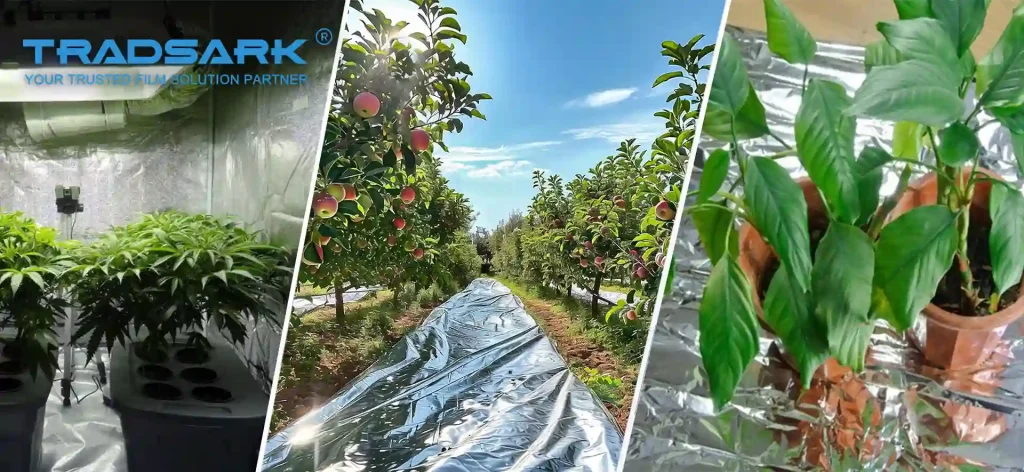 Key Features & Versatile Applications for PE & PET Silver Mylar Reflective Film including 98% reflectivity, tear resistance, and waterproof properties for greenhouse and orchard use by tradsark.