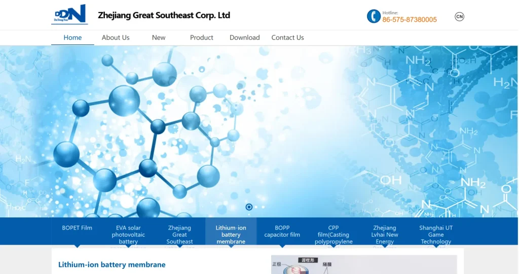 Official homepage screenshot of Zhejiang Dadongnan (SZ002263), a packaging film company referenced in an evidence-based metallized film supplier shortlist.