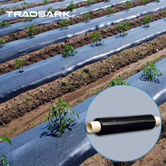 Agricultural black plastic mulch film used for weed suppression