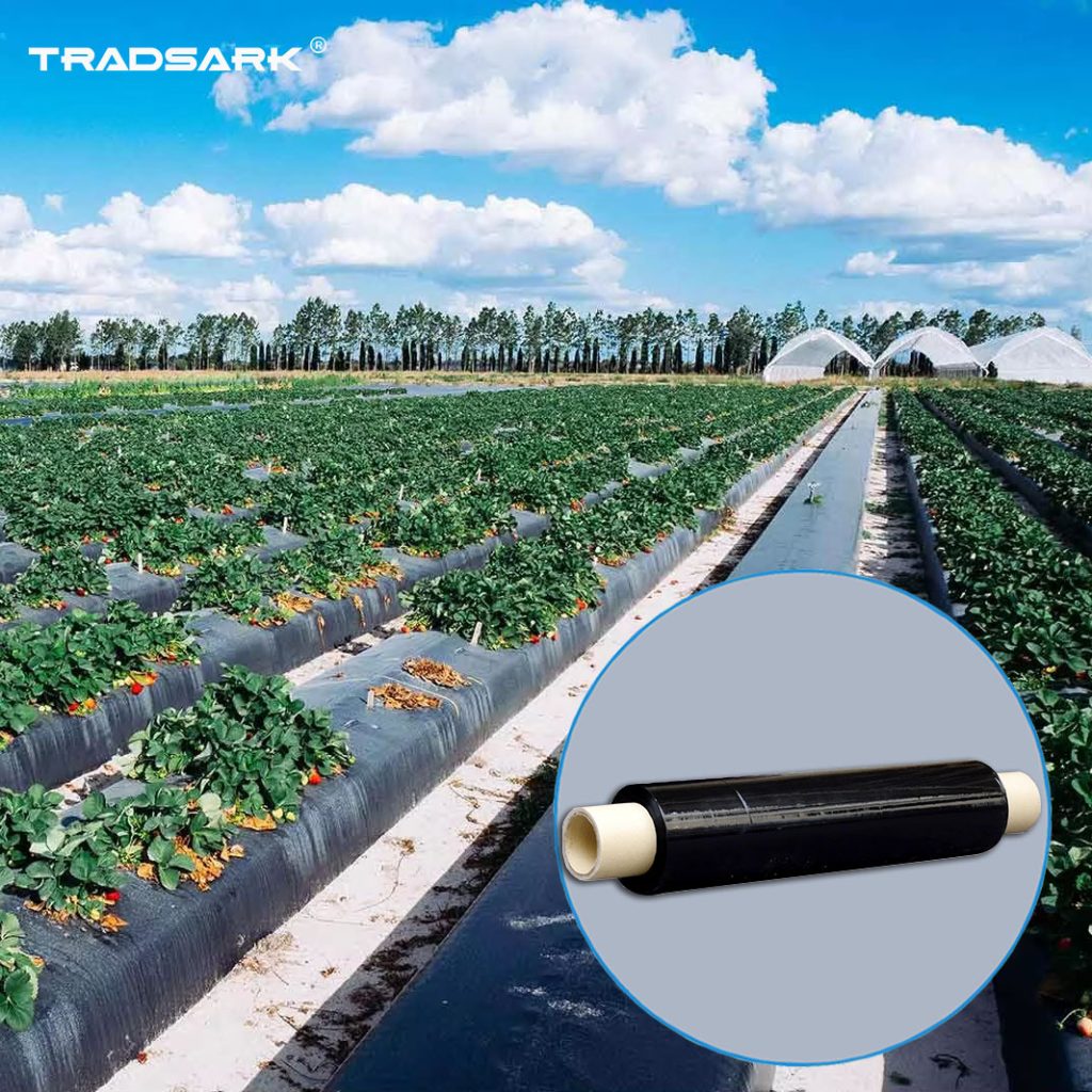 Agricultural black plastic mulch film used for weed suppression